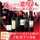 【送料無料】ガッツリ濃厚!欧州から新大陸まで濃厚赤ワイン好きも大満足のフルボディ6本!