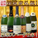 【送料無料】第90弾!ベスト・オブ・スパーク!京橋ワイン厳選...