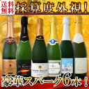 【送料無料】第77弾!ベスト・オブ・スパーク!京橋ワイン厳選!高級クレマンも入った極旨泡ばかりの辛口スパークリングワイン6本セット!
