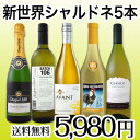 【送料無料】世界のシャルドネを飲み倒す!新世界のシャルドネづくし5本セット!第5弾!