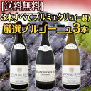 【送料無料】3本すべてプルミェクリュ(一級)★ワンランク上のブルゴーニュワイン3本セット!