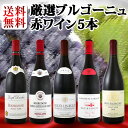【送料無料】特大感謝のブルゴーニュ赤ワイン大放出5本セット!