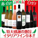 【送料無料】≪赤・白・ロゼ★バラエティ豊かな個性を満喫!!≫特大感謝の激旨イタリアワイン9本セット!!