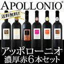【送料無料】大人気イタリアン【アッポローニオ】濃厚赤6本セット