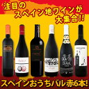 【送料無料】スペイン全土の地ワイン満喫!スペインおうちバル赤ワイン6本セット!