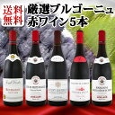 【送料無料】特大感謝のブルゴーニュ赤ワイン大放出5本セット!