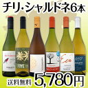 【送料無料】デイリー・シャルドネの決定版!向上目覚しいチリ・シャルドネ6本セット!