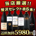 【送料無料】第81弾!当店厳選!これぞ極旨赤ワイン!『大満足!充実の飲み応え!』贅沢なスーパー・セレクト赤6本セット!