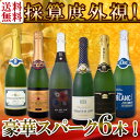 【送料無料】第99弾!ベスト・オブ・スパーク!当店厳選!高級クレマンも入った極旨泡ばかりの辛口スパークリングワインセット 6本!