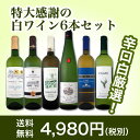 【送料無料】第108弾!採算度外視の謝恩企画!当店厳選!特大感謝の大満足白ワイン6本セット