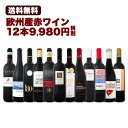 ワイン 【送料無料】第88弾!超特大感謝!≪スタッフ厳選≫の激得赤ワインセット 12本!