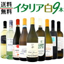 【送料無料】≪バラエティ豊かな個性を満喫!!≫特大感謝の激旨イタリア白ワインセット 9本!