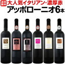 【送料無料】大人気イタリアン【アッポローニオ】濃厚赤ワインセット 6本!