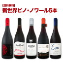 【送料無料】ピノ好き集まれ!デイリーに飲みたい、ちょっと上質な新世界ピノ・ノワール5本セット!