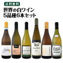 【送料無料】世界の白ワイン・オンパレード!毎日飲んでも飲み飽きない5品種6本セット!