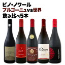 【送料無料】ピノ好き集まれ!ブルゴーニュ&世界のピノ・ノワール飲み比べ!
