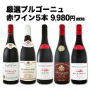 【送料無料】特大感謝のブルゴーニュ赤ワイン大放出5本セット!