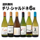 【送料無料】デイリー・シャルドネの決定版!向上目覚しいチリ・アルゼンチンのシャルドネ6本セット!