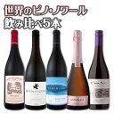 【送料無料】ピノ好き集まれ!デイリーからデートシーンまで、ピノ・ノワールの世界を堪能する5本セット!