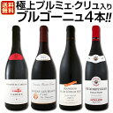 【送料無料】極上プルミェ・クリュ(一級畑)入り★厳選ブルゴーニュ赤ワイン4本セット!