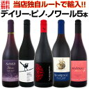 【送料無料】ピノ好き集まれ!当店独自ルートで輸入したチリ・ピノ登場!デイリー・ピノ・ノワール5本セット!