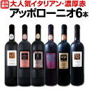 【送料無料】大人気イタリアン【アッポローニオ】濃厚赤ワインセット 6本!