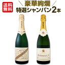シャンパン 【送料無料】第23弾!豪華絢爛!ご愛顧に大感謝!数量限定!特選シャンパンセット(スパークリングワインセット) 2本!