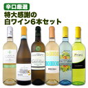 ワインセット 【送料無料】第114弾!採算度外視の謝恩企画!当店厳選!特大感謝の大満足白ワインセット 6本!