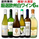 ワイン 【送料無料】第118弾!当店厳選!これぞ極旨辛口白ワイン!『白ワインを存分に楽しむ!』味わい深いスーパー・セレクト白6本セット