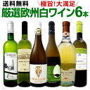 ワイン 【送料無料】第127弾!当店厳選!これぞ極旨辛口白ワイン!『白ワインを存分に楽しむ!』味わい深いスーパー・セレクト白6本セット