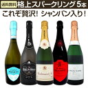 【送料無料】第5弾!これぞ贅沢!シャンパンも入ったバラエティ豊かな魅惑の上質スパークリング!格上高級泡5本セット!