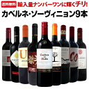 【送料無料】今や輸入量ナンバーワンに輝くチリ!人気のカベルネ・ソーヴィニョン9本セット!ワイン ワインセット セット 赤ワインセット 赤ワイン 赤 飲み比べ 送料無料 ギフト プレゼント 750ml