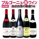 【送料無料】厳選ブルゴーニュ赤ワイン5本セット!