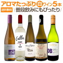 【送料無料】超お買い得!アロマたっぷりの白ワイン5本セット!
