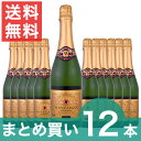 【送料無料】【まとめ買い】ヴーヴ・アルバン・ヴァン・ムスー・ブリュット 12本