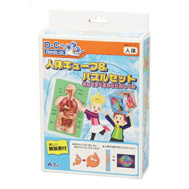 人体キューブ＆パズル遊んで学べるからだのしくみアーテック/実験キット/理科/実験セット/科…...:keepon:10000411