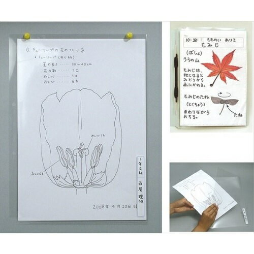 透明掲示ホルダー 8切 2605絵具/アーテック/美術/新学期/図工/パレット/デッサン/…...:keepon:10002294