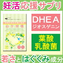 【送料無料★メール便対応】若々しさ＆はぐくみ応援成分ジオスゲニン＆葉酸＆乳酸菌たっぷり山芋習慣　124錠入り（約1ヵ月分）【dhea/妊活/妊娠/サプリ/サプリメント】【10P26Mar16】