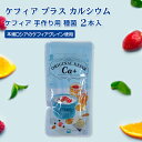 ケフィア カルシウム+ 種菌 手作り用 \国内生産 送料無料/牛乳 豆乳で作る オリジナルケフィアCa+ 1袋(2包入)ヨーグルトメーカーでも作れる 自家製 ケフィア種菌手作りチーズ ダイエット 乳酸菌 豆乳ヨーグルト 牛乳 自作 日本ケフィア 善玉菌 kefir