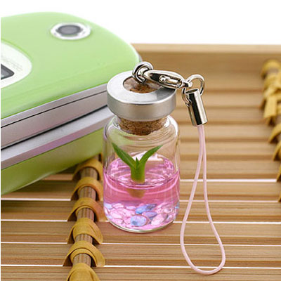 Υߥ˴տʪХѤǰĿʪӥȥǥӥȥåסʥ󥷥ࡦԥ󥯡