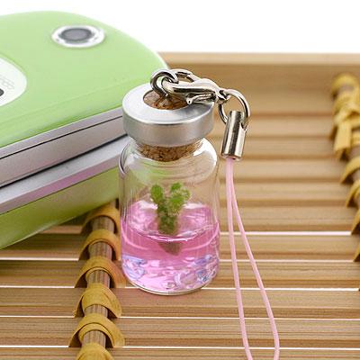 Υߥ˴տʪХѤǰĿʪӥȥǥӥȥå