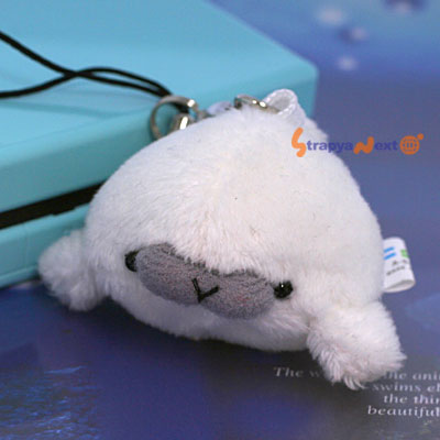 ä㤯äƤ֥˥ޥ׳ ӥȥåסʥ饷5430BڥХåۤˤGOOD