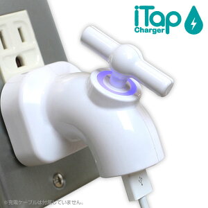 iTapUSB-AC充電アダプタ
