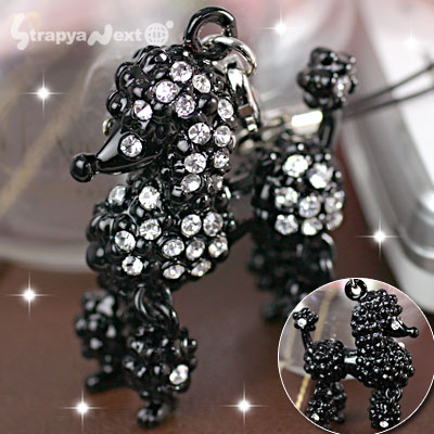 饭֤Υסɥӥȥåסʥ֥åꥢ 107737ڥХåۤˤGOOD