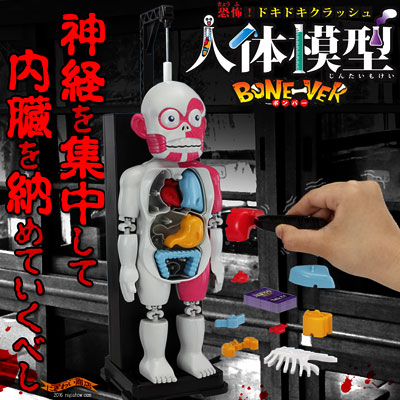 より怖い新型！New放課後の怪談シリーズ恐怖! ドキドキクラッシュ人体模型 BONE-VE…...:keitaistrap:10071125