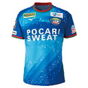 徳島ヴォルティス 2019 ホーム 半袖オーセンティックユニフォーム 【MIZUNO|ミズノ】