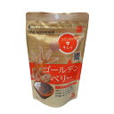 ゴールデンベリー30g │スーパーフード│