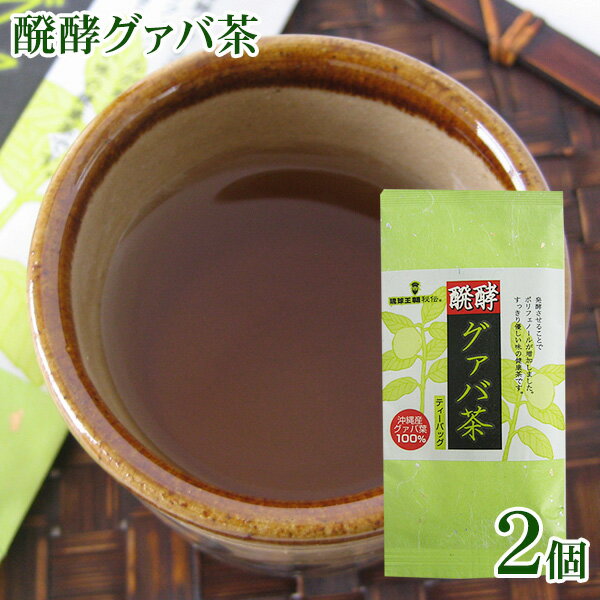 醗酵<strong>グァバ茶</strong> ティーバック 15袋入×2個（30袋） 【送料無料メール便SL】