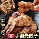 手羽先餃子【5個入り】冷凍 時短 お手軽 簡単 餃子計画 パーティー・クリスマス 鶏肉 手羽 餃子 冷凍食品 冷凍餃子 お取り寄せ
