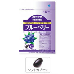 小林製薬　ブルーベリー　30粒　30日分